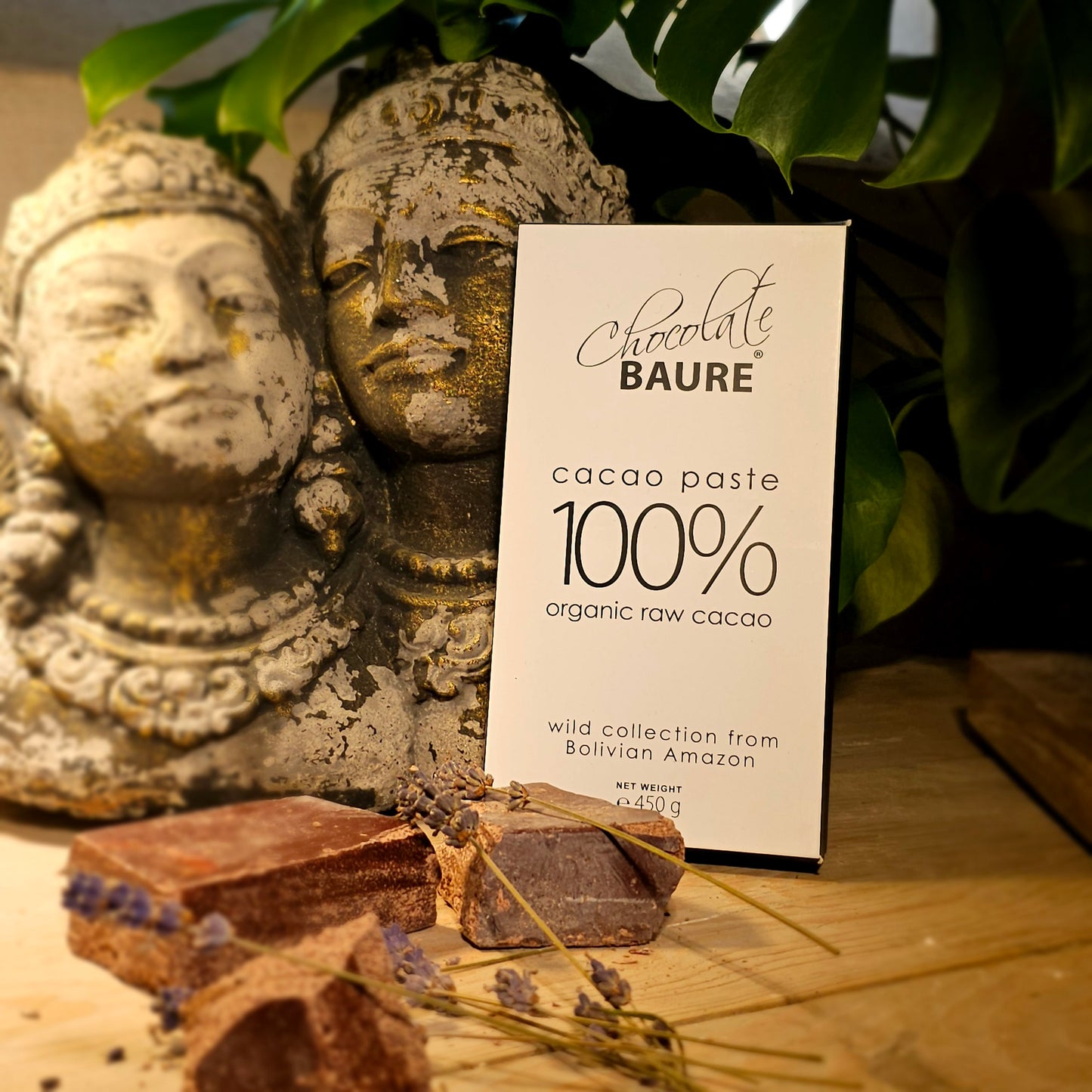 Rohkakao Block aus Bolivien, 100% Rohkakao