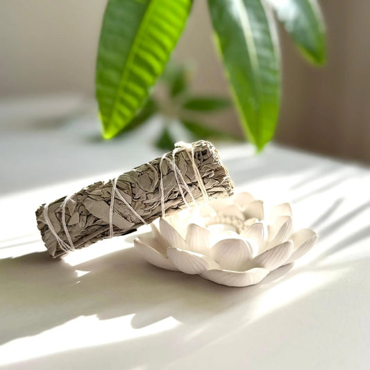 Räucherbündel weißer Salbei, Smudge Stick White Sage - Räucherbündel zum Ausräuchern, zur energetischen Hausreinigung und zur Vorbereitung deiner Kakaozeremonie